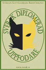 Sverak diplomerad uppfödare