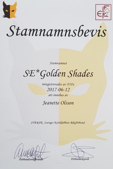 SE* Golden Shades